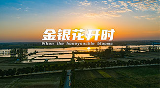 &#108;&#101;&#121;&#117;&#46;&#20048;&#40060;&#40;&#38598;&#22242;&#41;&#26234;&#33021;&#31185;&#25216;&#32929;&#20221;&#26377;&#38480;&#20844;&#21496;&#32593;&#31449;